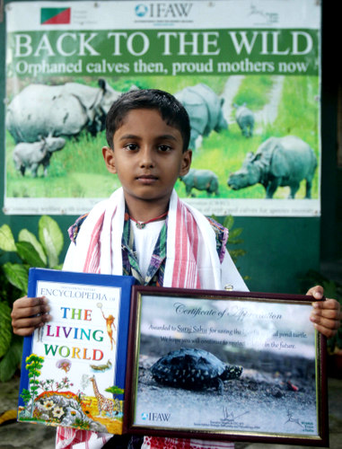 Master Suraj Sahu, the L KG student of Sapjuri area of Bokakhat after receiving the conservation honour at CWRC on the occassion of Willdlife Week celebration on 1st October 2015. The boy found near his home and handed over a rare schedule I turtle specie to CWRC during Kaziranga flood 2015.Photo:  Subhamoy Bhattacharjee/IFAW-WTI