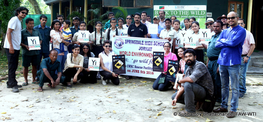 Staff of Centre for Wildlife Rehabilitation and Conservation (CWRC), the jointly run wildlife care facility of Assam Forest Department (AFD), WTI and IFAW interacted with the team members of Young Indians (Yi) (Guwahati chapter) on the occasion of “World Environment Day” keeping in mind the UNESCO theme “Go Wild for Life”. The team-Yi had interacted with the CWRC staff on various wildlife conservation issues during the visit. Yi was formed in the year 2002 with an objective of creating a platform for young Indians to realise the dream of a developed nation. Photo: Subhamoy Bhattacharjee/IFAW-WTI