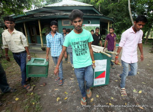 Youth from Kaziranga-Karbi Anglong animal tresspassing zones connected to the national Park are being trained on flood rescue measures with a mock drill at Centre for Wildlife Rehabilitation and Conservation (CWRC), the IFAW-WTI wildlife care centre as part of on going Pre-Flood Awareness campaign on 19th June 2015.Photo:Subhamoy Bhattacharjee/IFAW-WTI