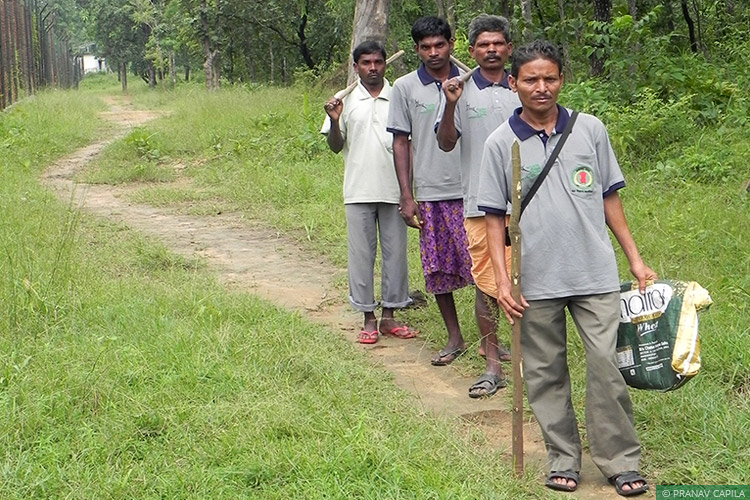 The Central India Wild Buffalo Recovery Project team