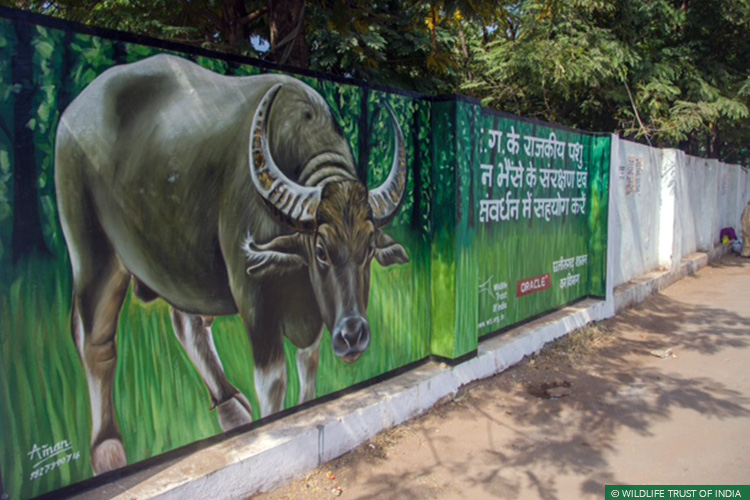 Asiatic Wild Water Buffalo, Central India Wild Buffalo Recovery Project, Chhattisgarh, Udanti Wildlife Sanctuary, Udanti-Sitanadi Tiger Reserve, Wall Painting, Natural Heritage Campaigns, Awareness for Conservation