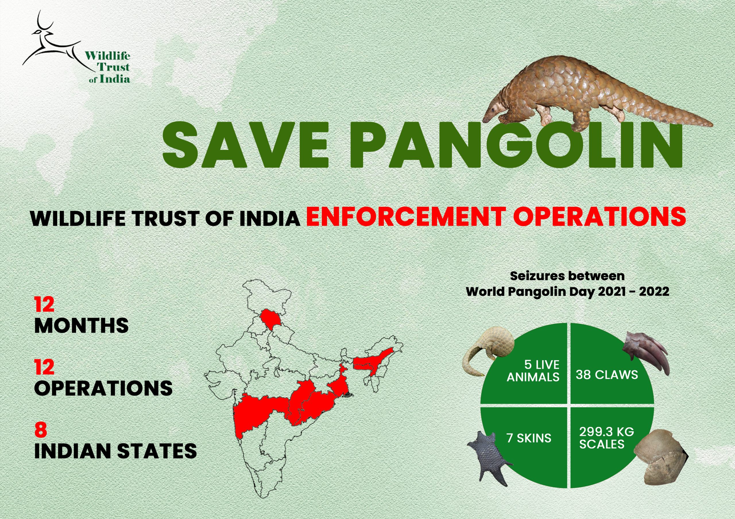 World Pangolin Day special Saving the most trafficked mammal in a