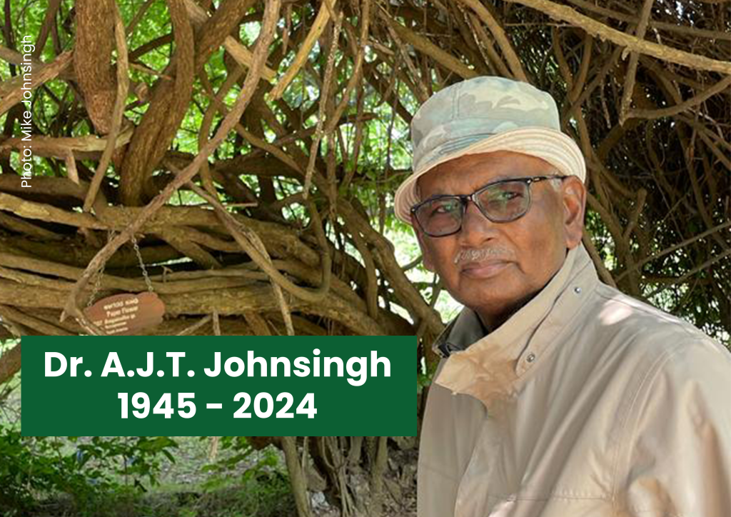 A.J.T. Johnsingh