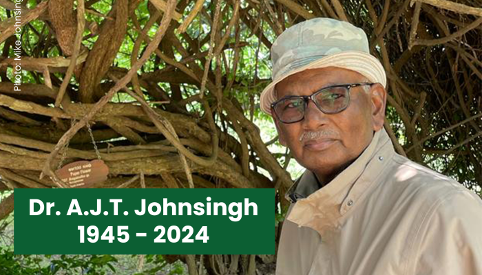 A.J.T. Johnsingh