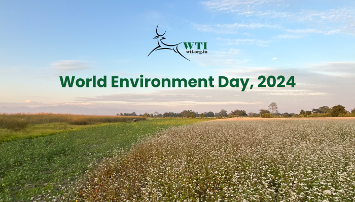 World Environment Day