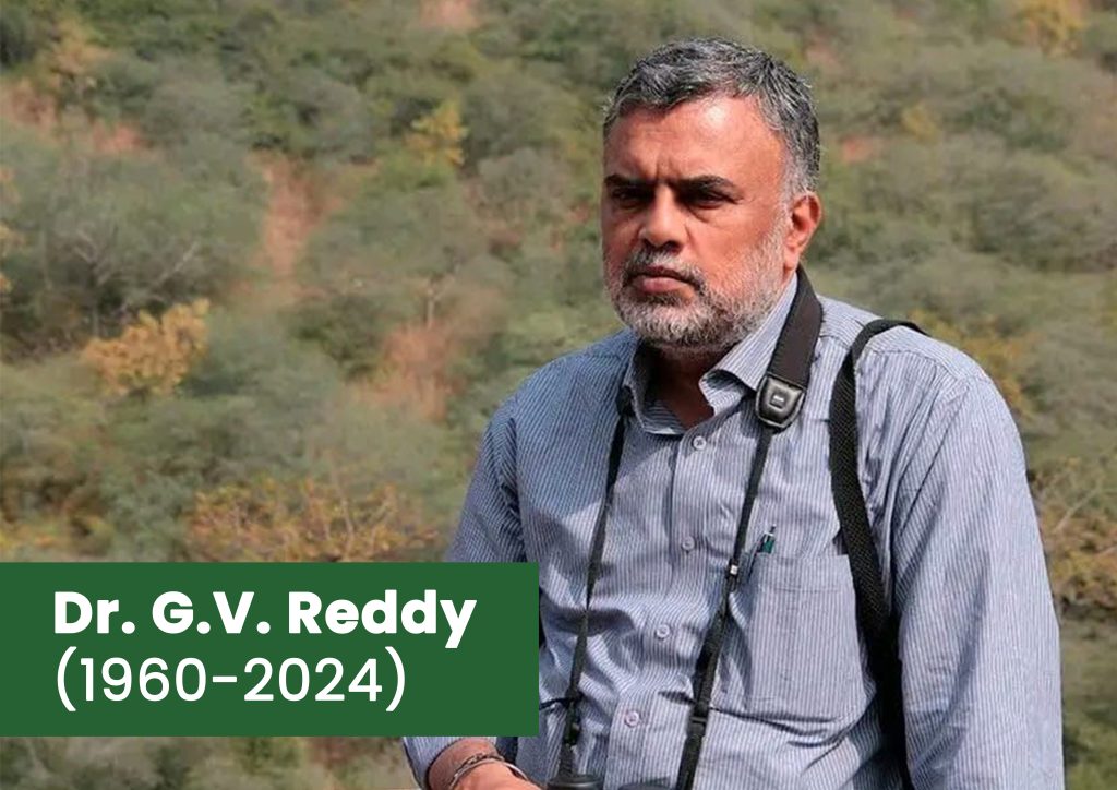 GV Reddy