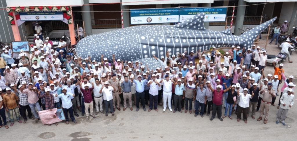 whale shark